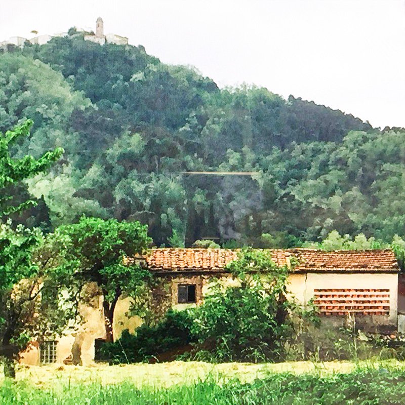 Farm Holidays
