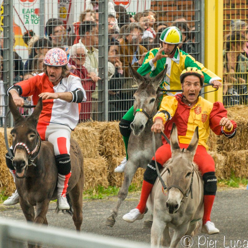 Palio dei Micci