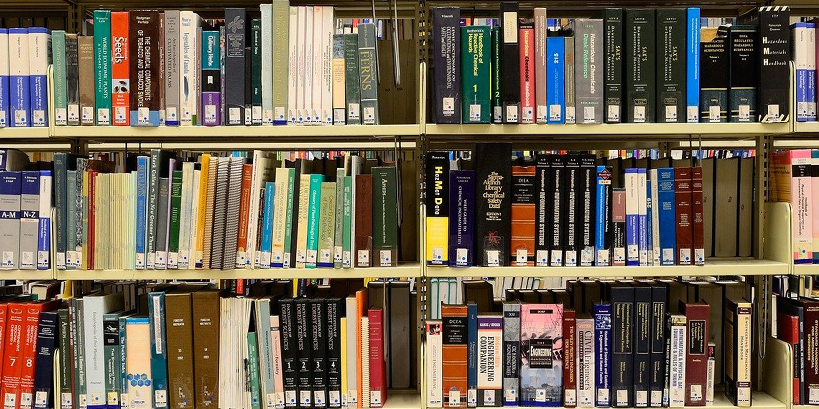 Libri a domicilio