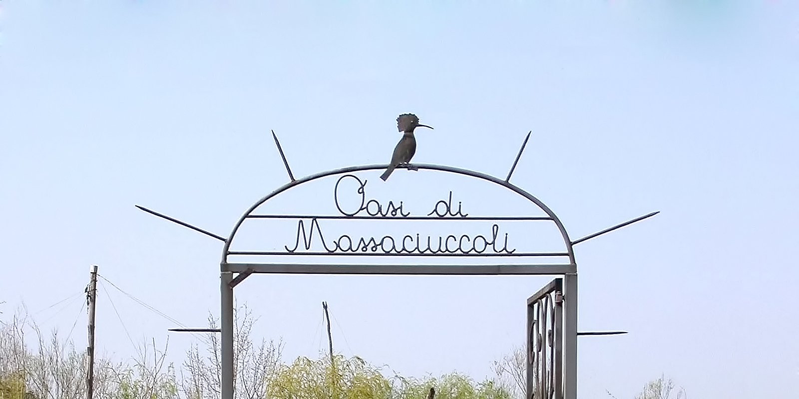 Naturoase des Massaciuccoli-Sees