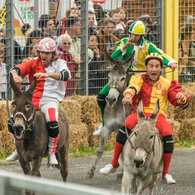 Palio dei Micci