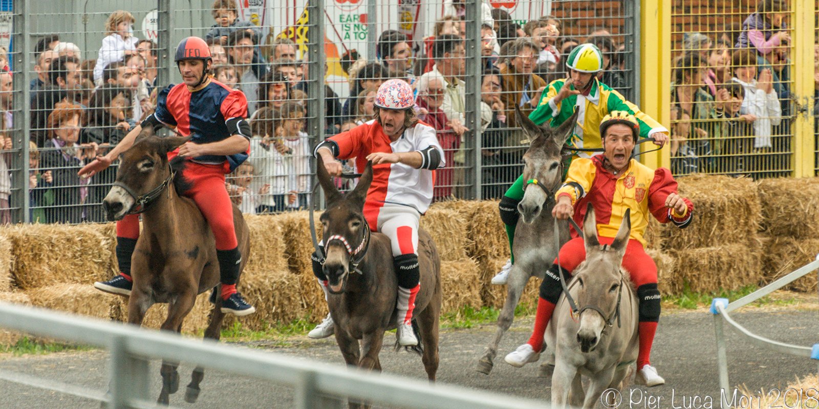 Contrada La Lucertola.