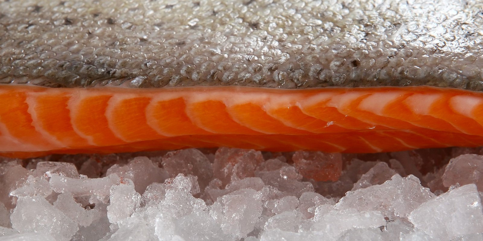 Pesce a domicilio
