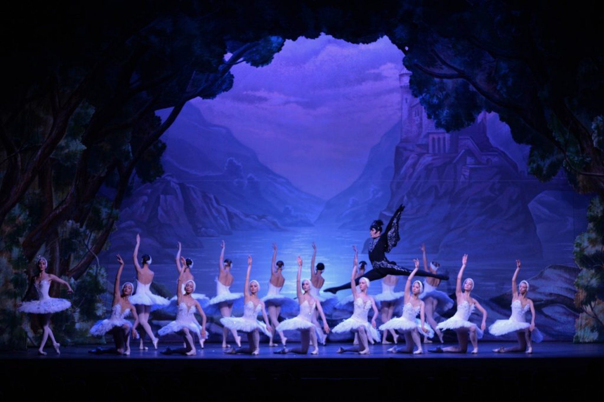 the swan lake