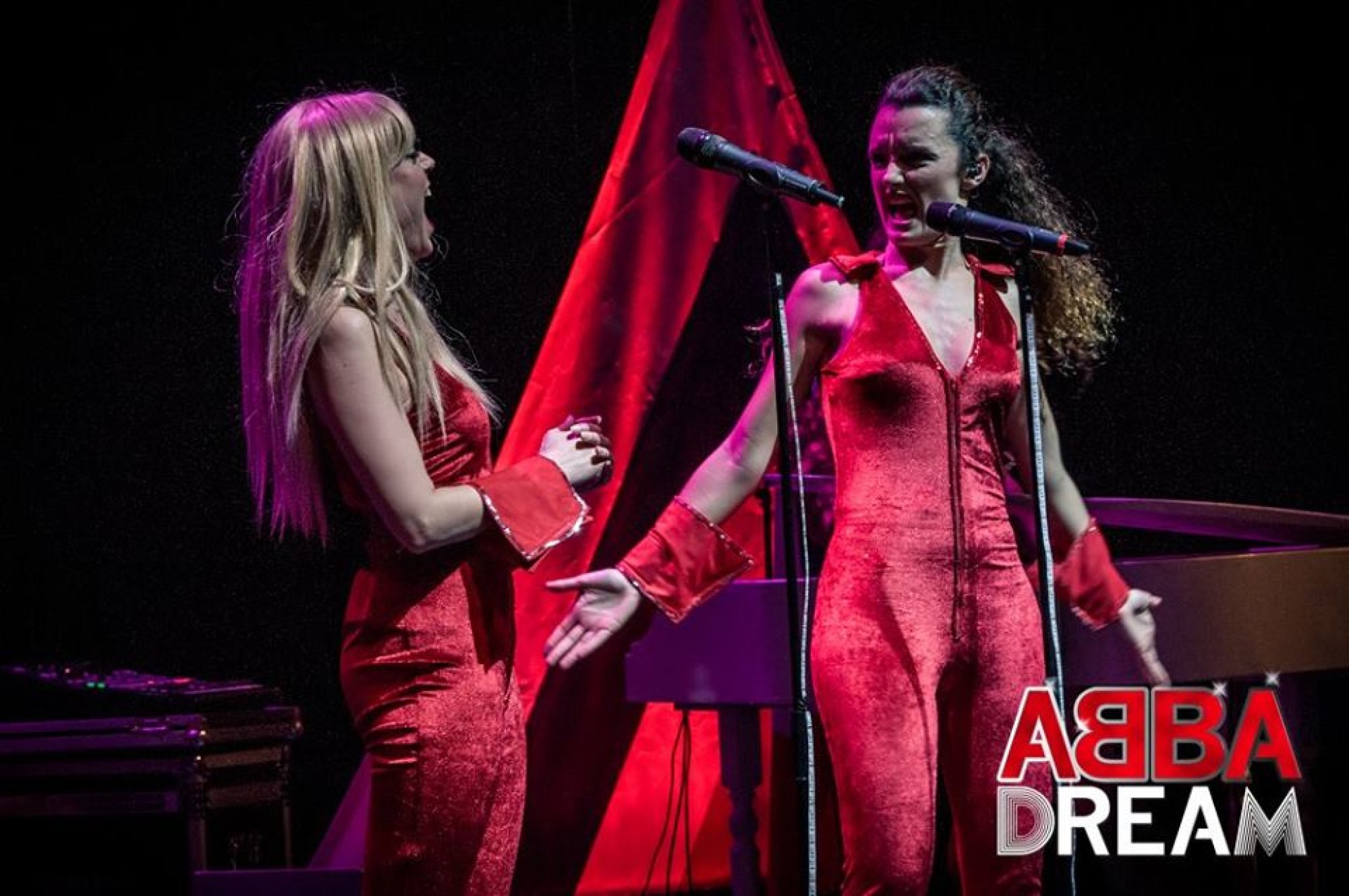 ABBA Tribute Show - Basilico Fresco - Torre del Lago