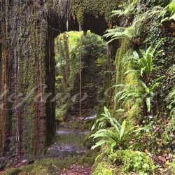 Calcaferro, le miniere, i polverifici