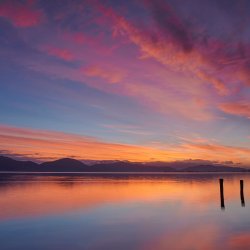 Torre del Lago - Alba gennaio 2021