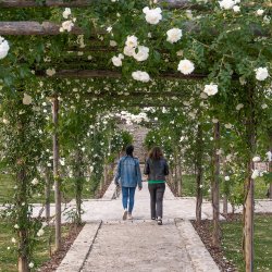 Camaiore, giardino murato.