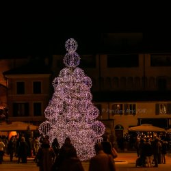 Pietrasanta 2014