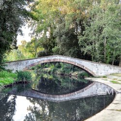 Ponte del Principe