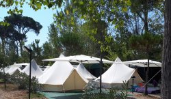 Bell Tent Campeggio Bosco Verde a Viareggio