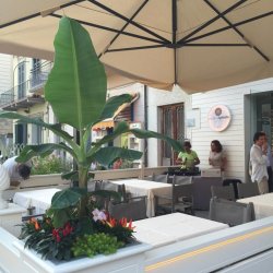 Enoteca Il Pinolo a Lido di Camaiore