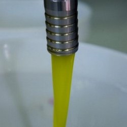 Olio extravergine di olive toscane