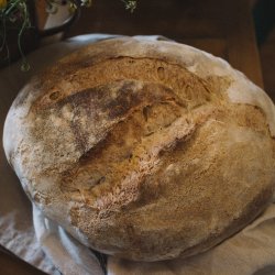 Pane toscano in Versilia