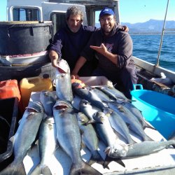 Pesce fersco a Viareggio con onsegna a domicilio