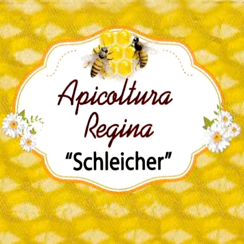 Apicoltura Regina Schleicher